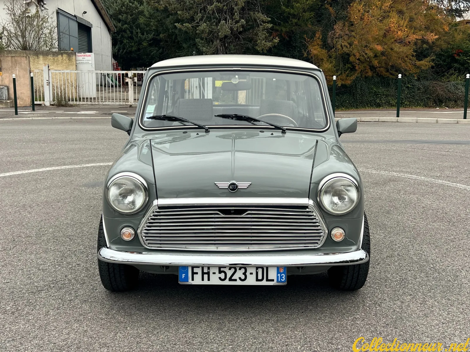ROVER MINI 1993