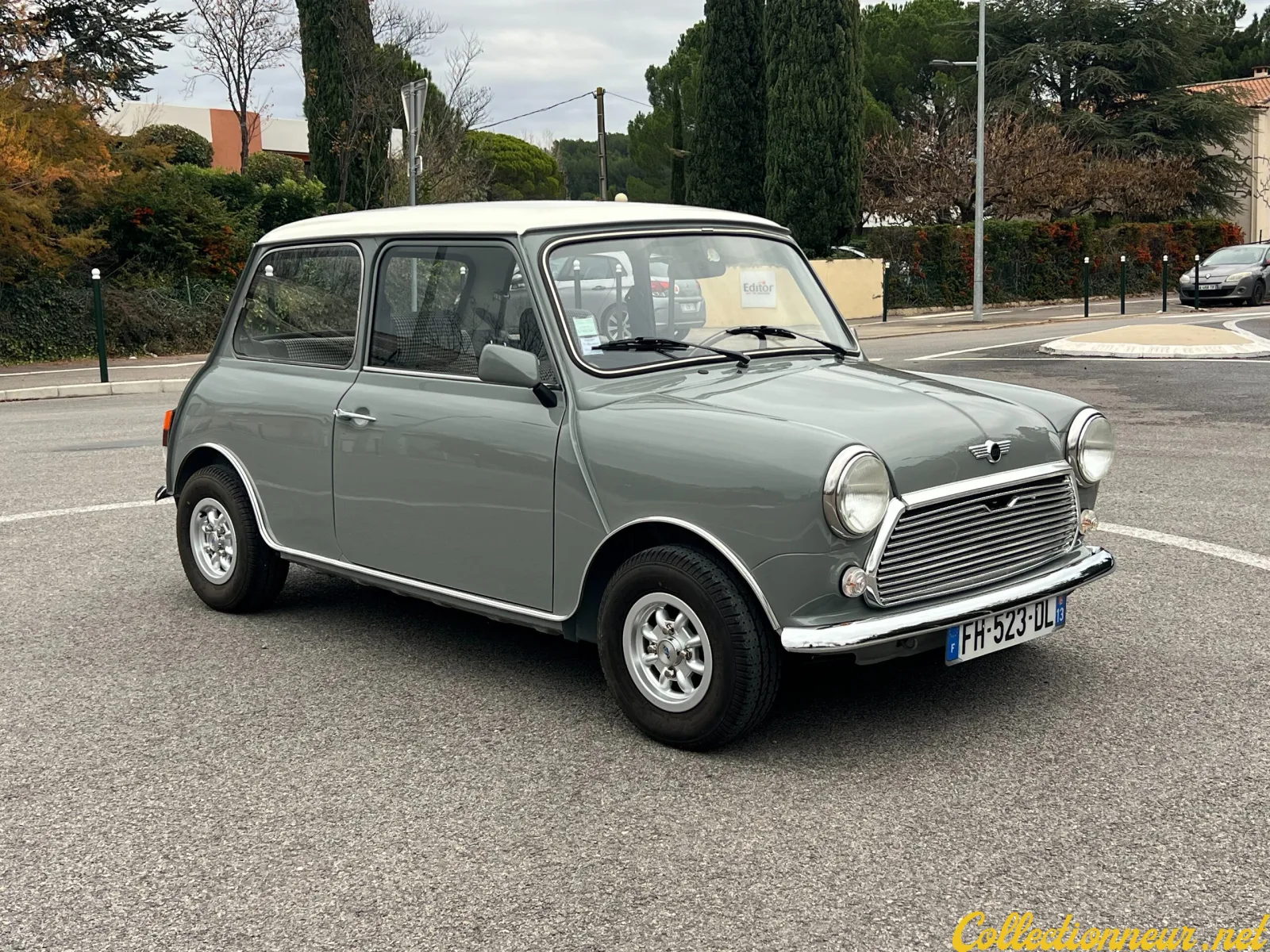 ROVER MINI 1993