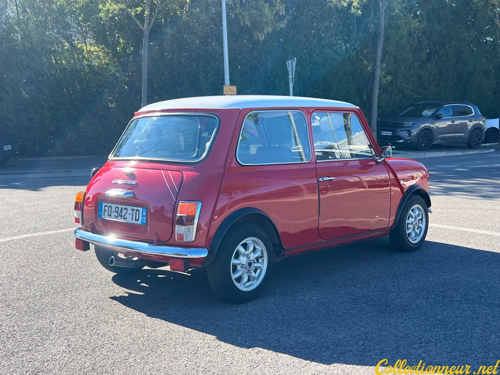 MINI 1000 Spéciale