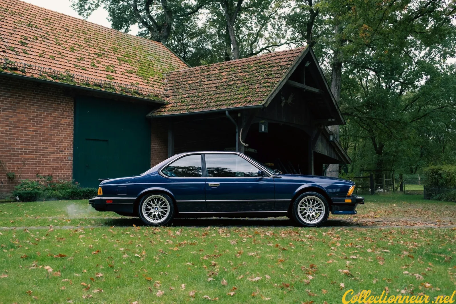 BMW E24 1987