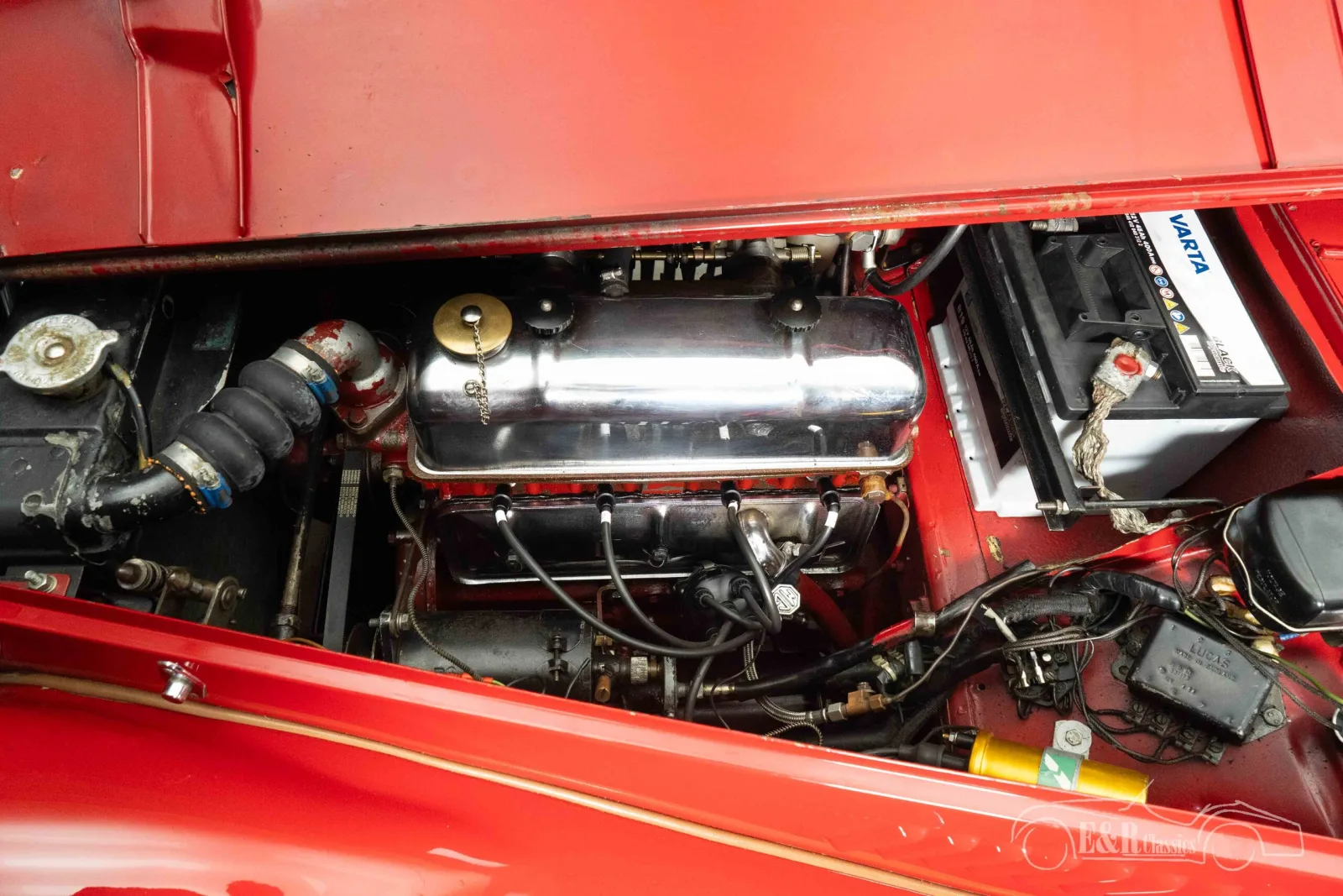 MG TF 1250 | Entièrement restaurée | Historique connu | 1954