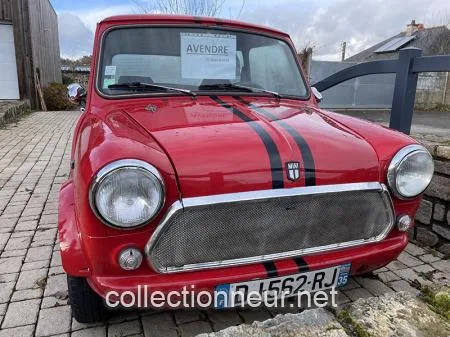 AUSTIN MINI