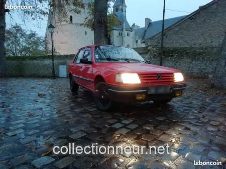 Peugeot 309  Vital Diesel (rare)