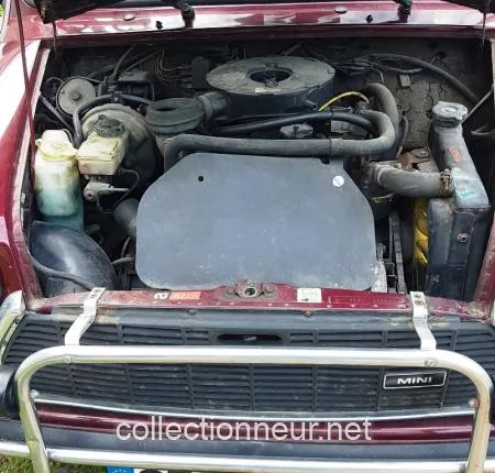 Rover Mini 1000