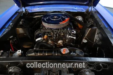 Ford Mustang Fastback | Entièrement restauré | Histoire connue | 1965
