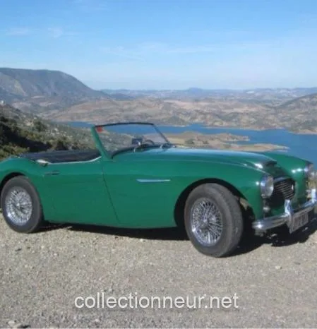 Austin Healey