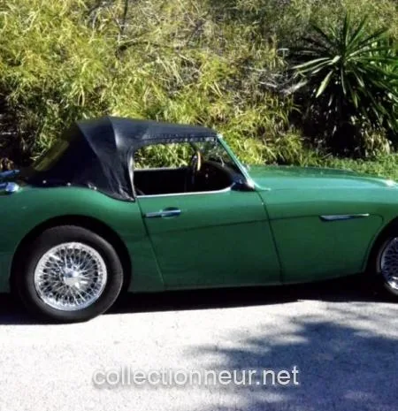 Austin Healey