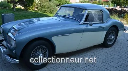Austin Healey 100-6