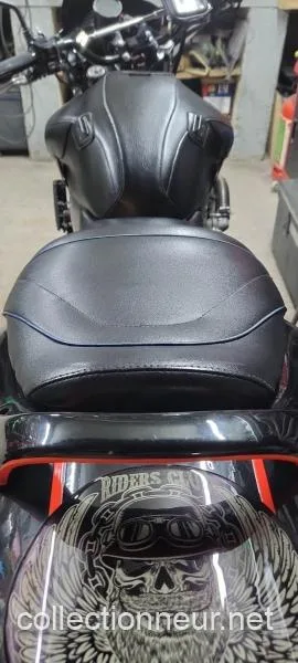 Honda hornet 1999