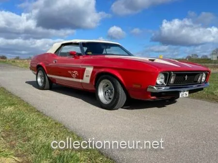 Ford Mustang 351