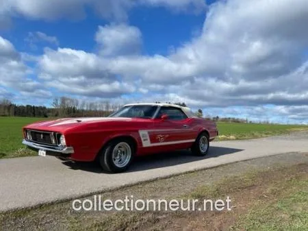 Ford Mustang 351