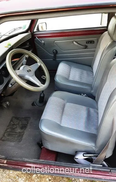 Rover Mini 1000