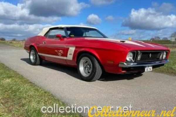 Ford Mustang 351