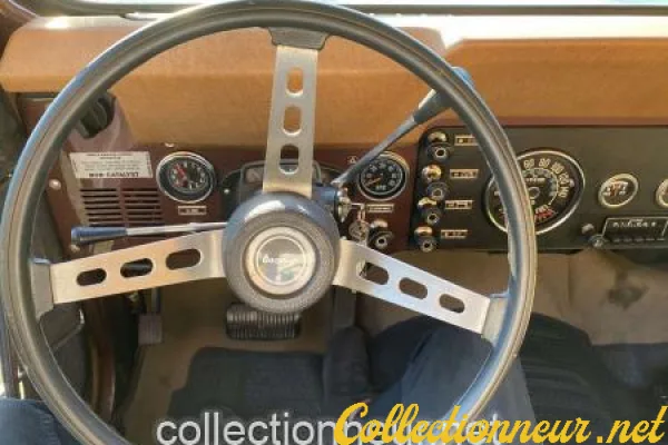 JEEP CJ7 Golden Eagle 5.0 V8
