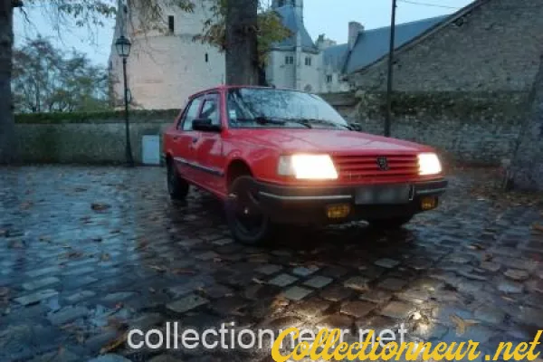 Peugeot 309  Vital Diesel (rare)