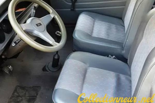 Rover Mini 1000