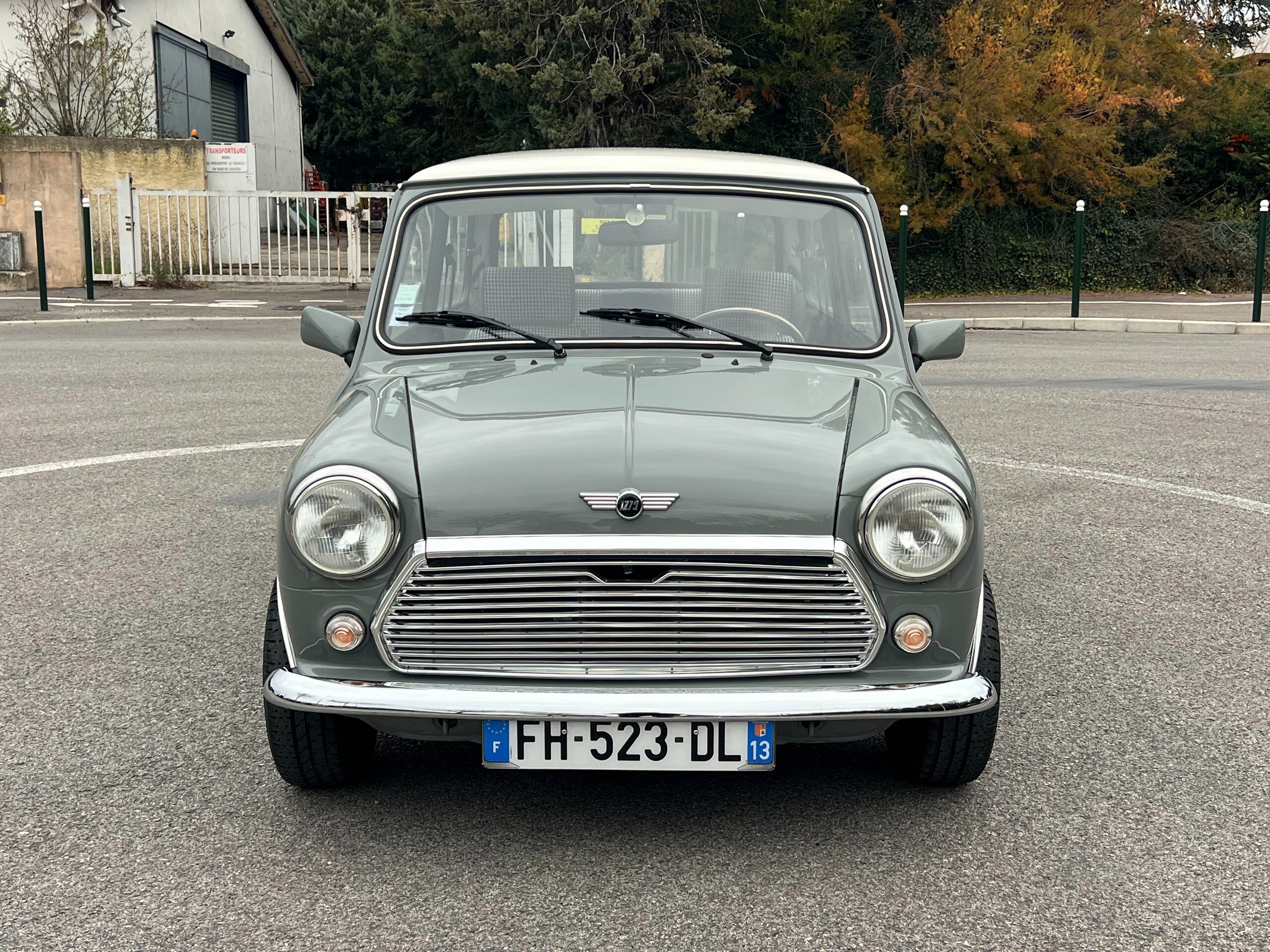 ROVER MINI 1993
