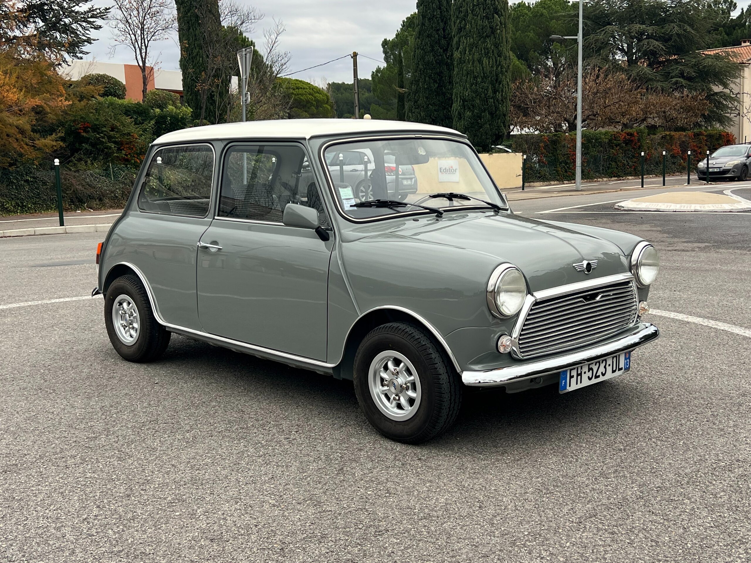 ROVER MINI 1993
