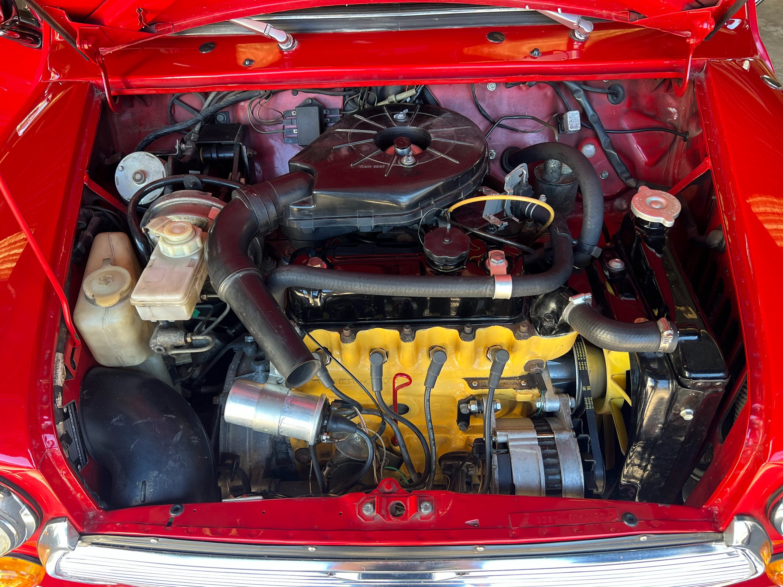 MINI 1000 Spéciale